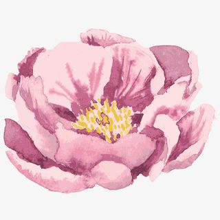 水彩唯美森系花卉Png 2免抠