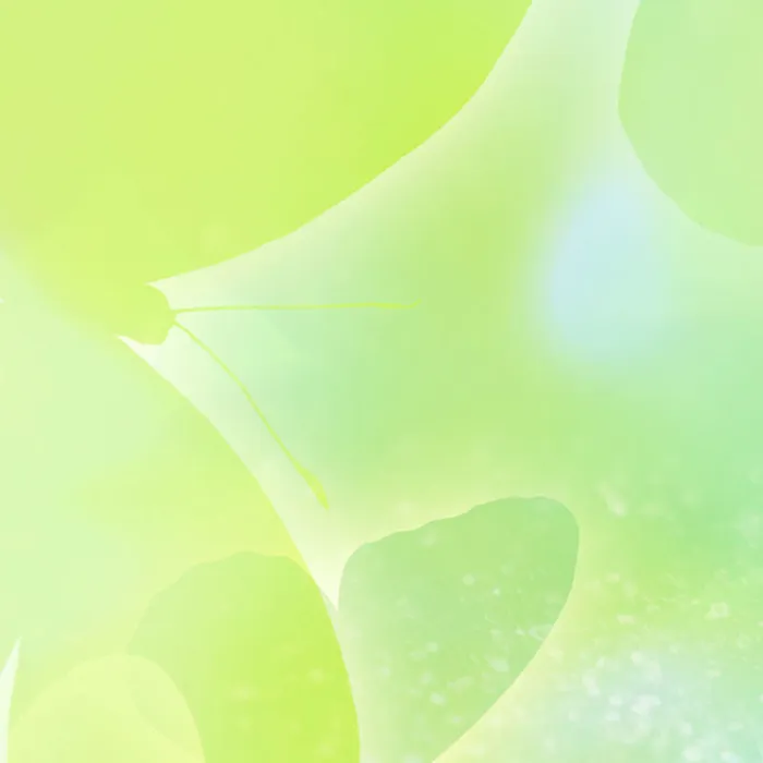 清爽绿色的主题图高清