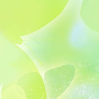 清爽绿色的主题图高清