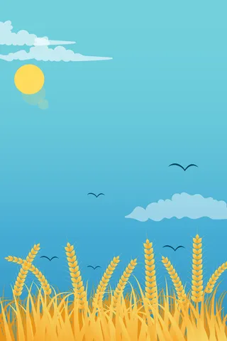 简约小麦风景海报设计高清