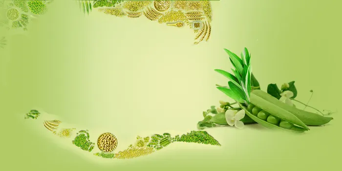 绿色简约粗粮养生健康海报背景素材高清