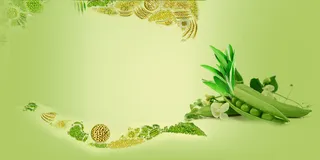 绿色简约粗粮养生健康海报背景素材高清