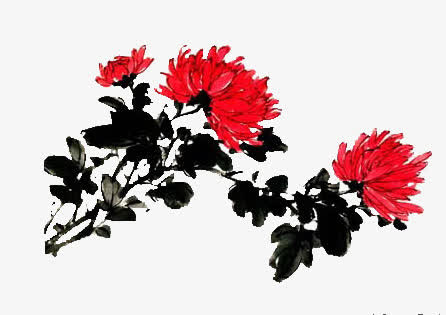 水墨菊花免抠