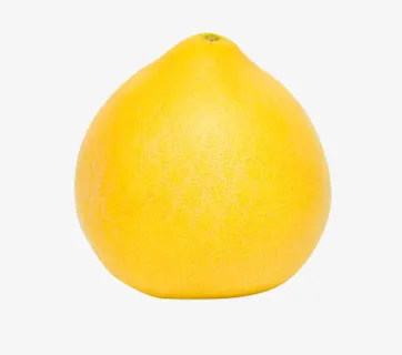 柚子图片免抠