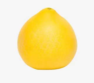 柚子图片免抠
