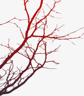 枯树枝免抠