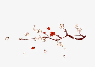 梅花元素免抠