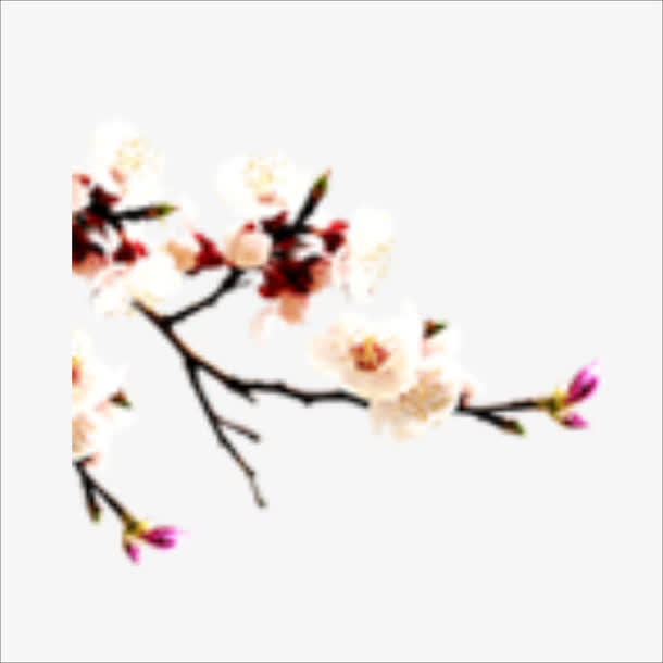 中秋节免抠