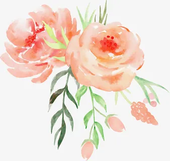 手绘水彩玫瑰花装饰元素免抠