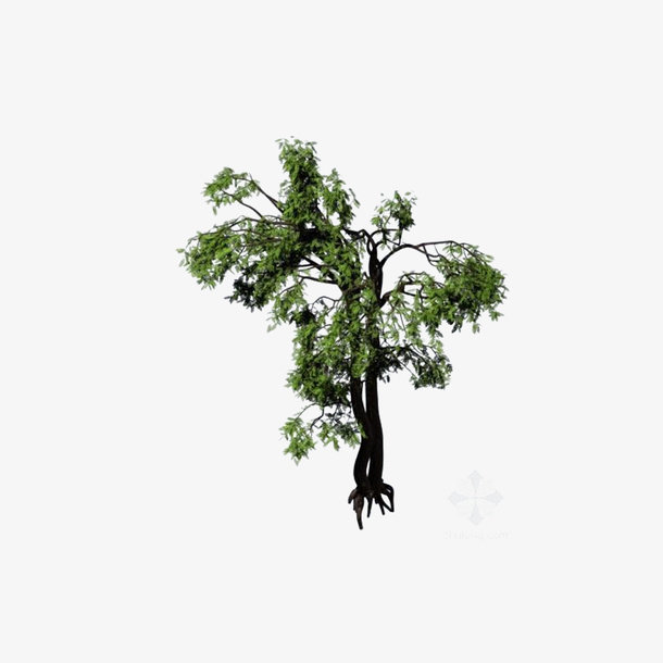 俯视树灌木免抠