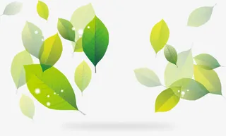 绿叶矢量边框装饰花纹素材免抠