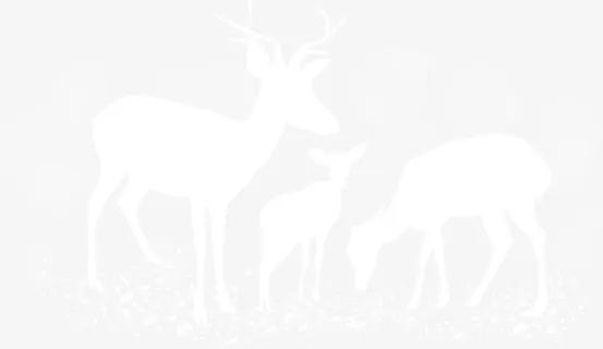 白色雪地麋鹿免抠