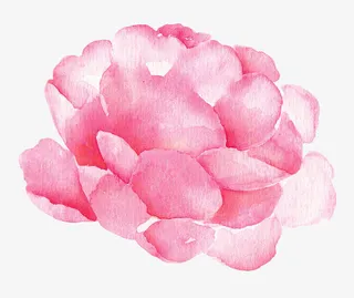 粉墨水彩花瓣矢量图标免抠图免抠