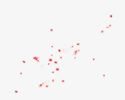 飘落花瓣免抠