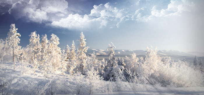 雪景 林海 天空云彩高清