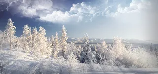 雪景 林海 天空云彩高清