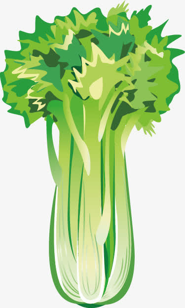 芹菜免抠
