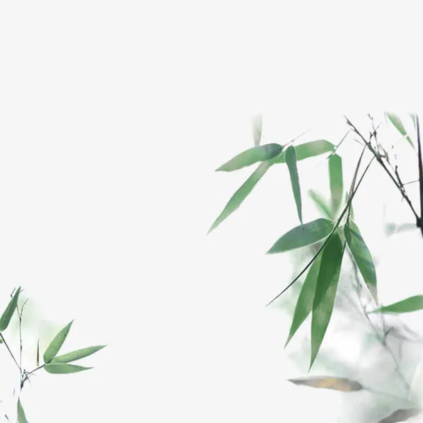 竹子免抠