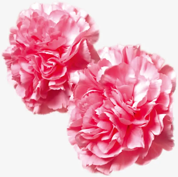 粉色母亲节节日花朵免抠