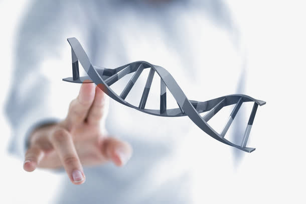 金属DNA和背景手