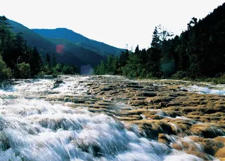 龙背鎏金瀑免抠