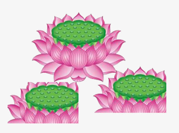 开出洁美的鲜花是最美好的象征免抠