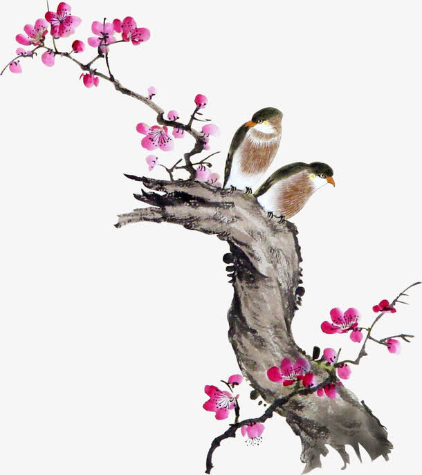 国画花鸟免抠
