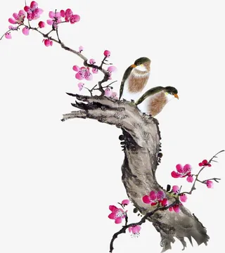 国画花鸟免抠