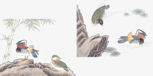 中国风花鸟素材免抠