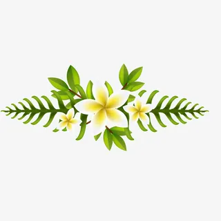 白色鸡蛋花植物矢量图免抠