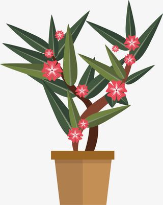 盆栽鲜花PNG下载免抠