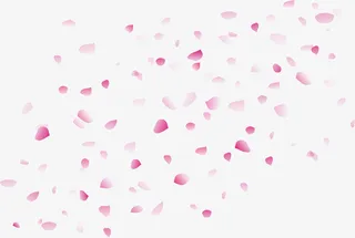 浪漫漂浮粉红樱花免抠