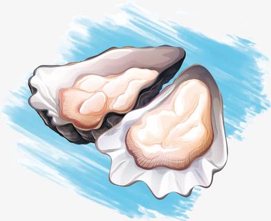 新鲜生蚝免抠