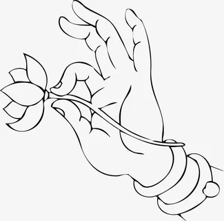 佛教手势  观音手 佛手 荷花免抠