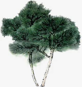 一株清明节青松免抠