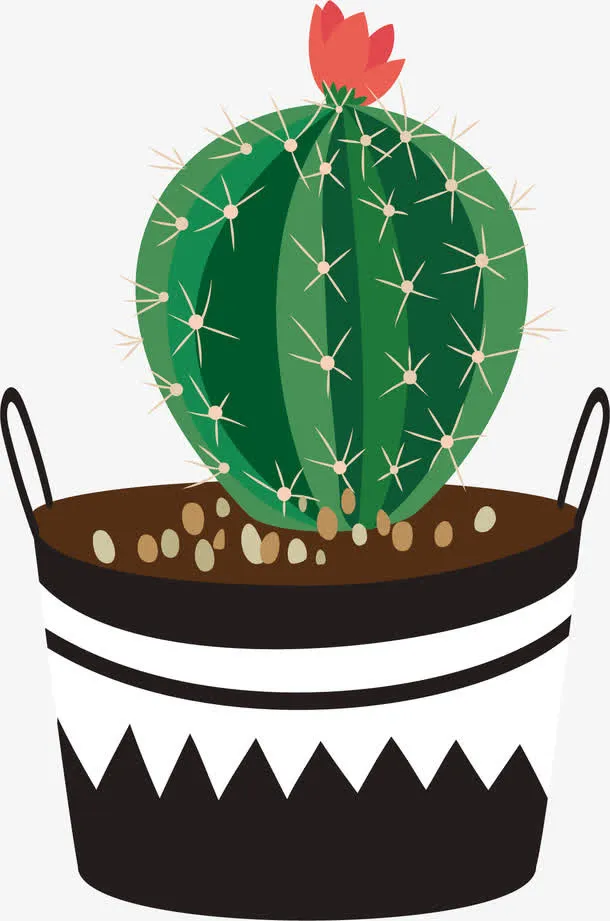 仙人掌球PNG下载免抠