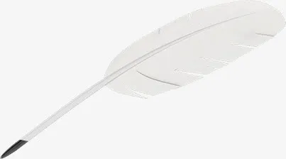 白色羽毛效果元素免抠