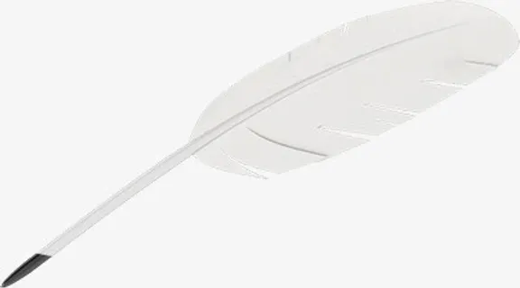 白色羽毛效果元素免抠