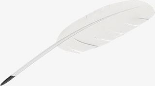 白色羽毛效果元素免抠