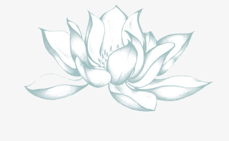 荷花免抠