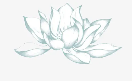 荷花免抠