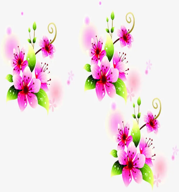 炫酷梅花元素免抠