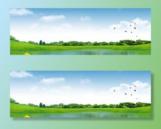 绿色大自然草坪海报banner高清摄影风景背景