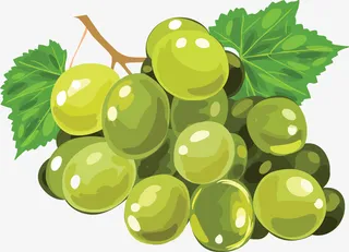 绿色手绘葡萄免抠