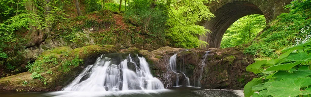 森林 瀑布淘宝高清