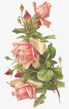 花免抠