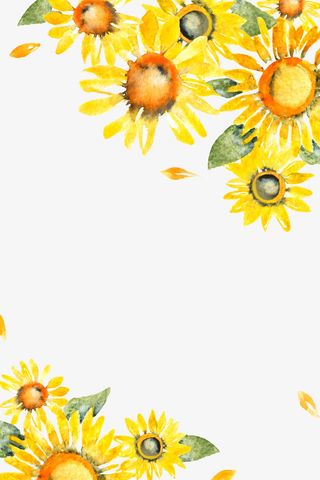 文艺清新花草海报设计装饰免抠