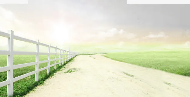 天空阳光草地小路免抠