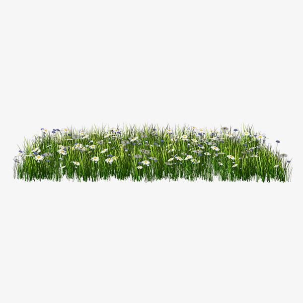 花草坪免抠