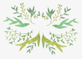 底纹花纹植物叶子免抠